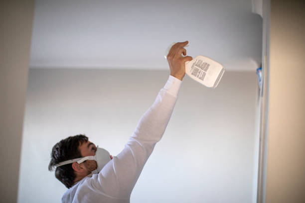 Office Mold Removal Services in Kyle, SD