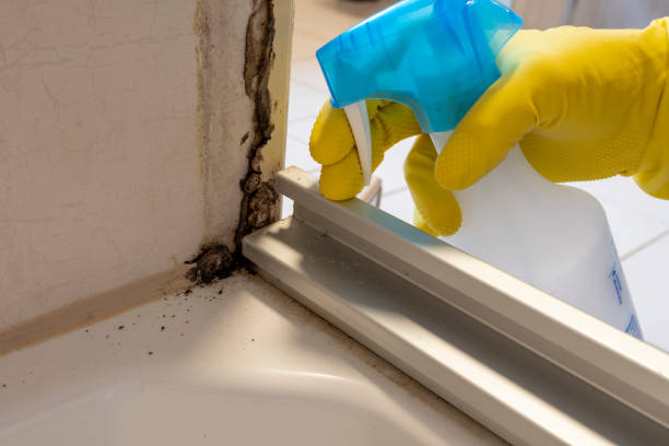 Best Mold Removal and Inspection  in Kyle, SD