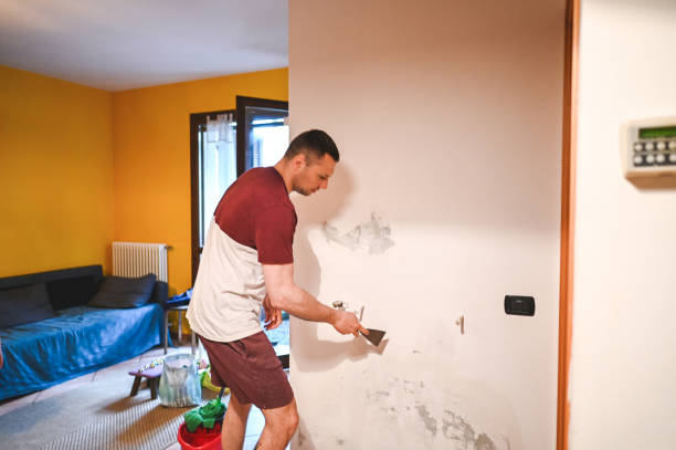 Best Attic Mold Removal  in Kyle, SD