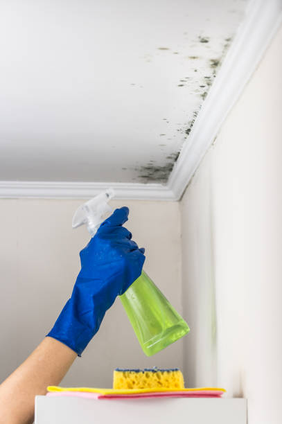 Best Mold Testing  in Kyle, SD