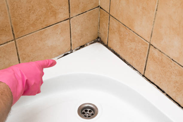 Crawl Space Mold Removal in Kyle, SD